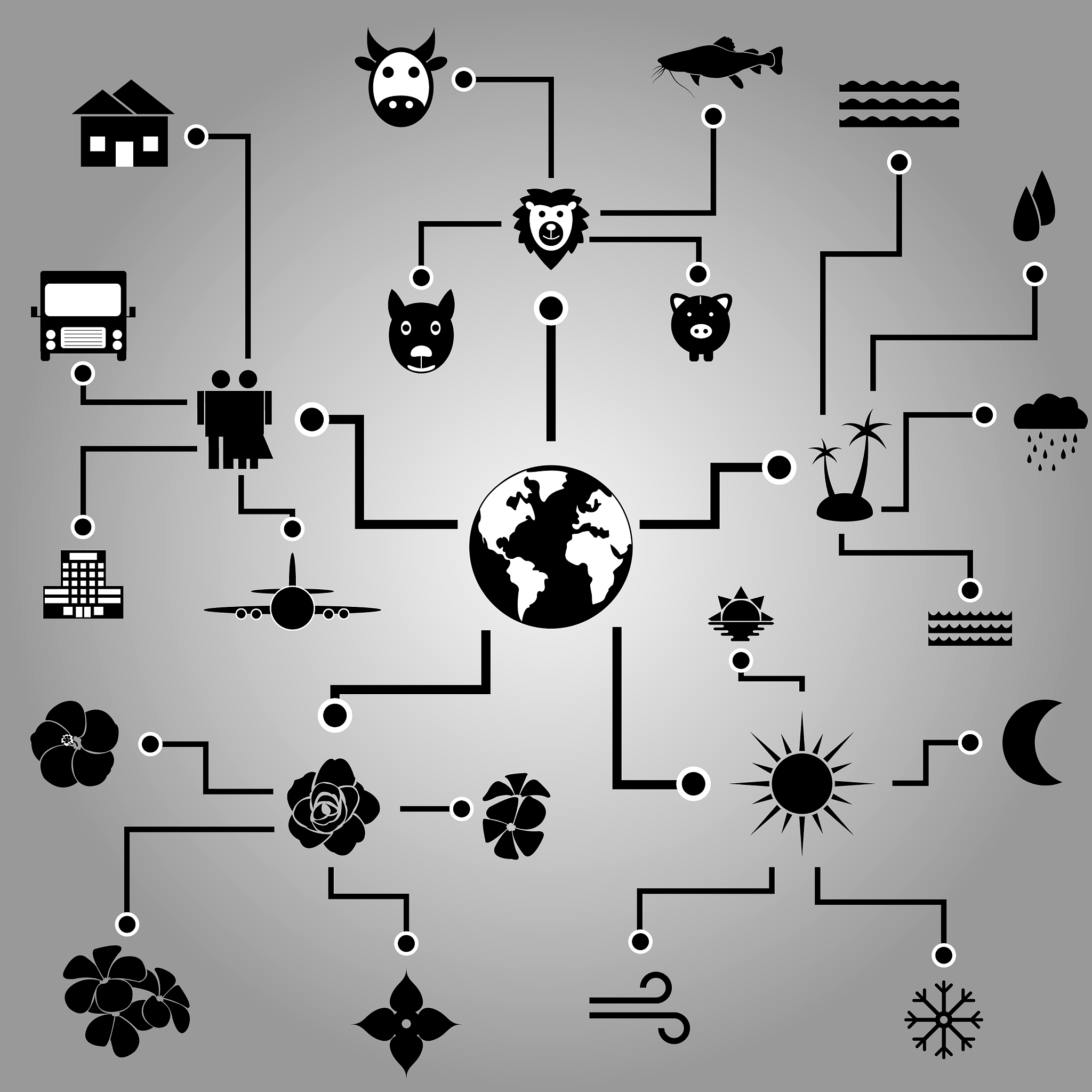 我国炭黑技术与产业体系发展趋势