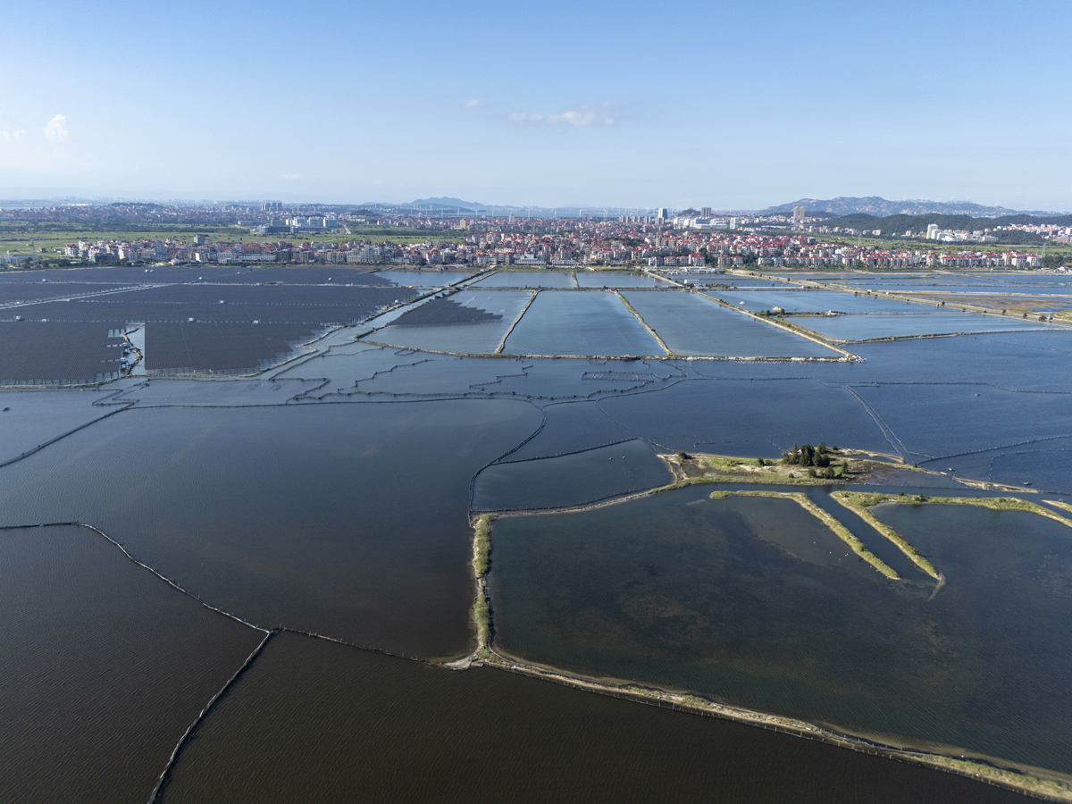 荣成市好当家集团海洋产业发展状况 - 渔业、海产加工、海洋旅游