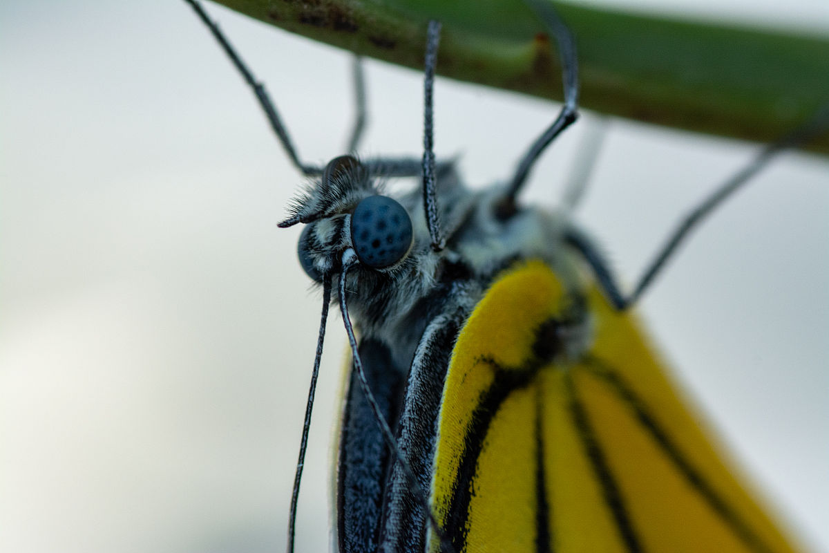 网络用户信息茧房的成因及破茧策略研究引言