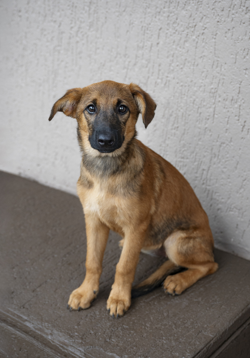 开展混合教学模式对于激发学生学习兴趣有何意义