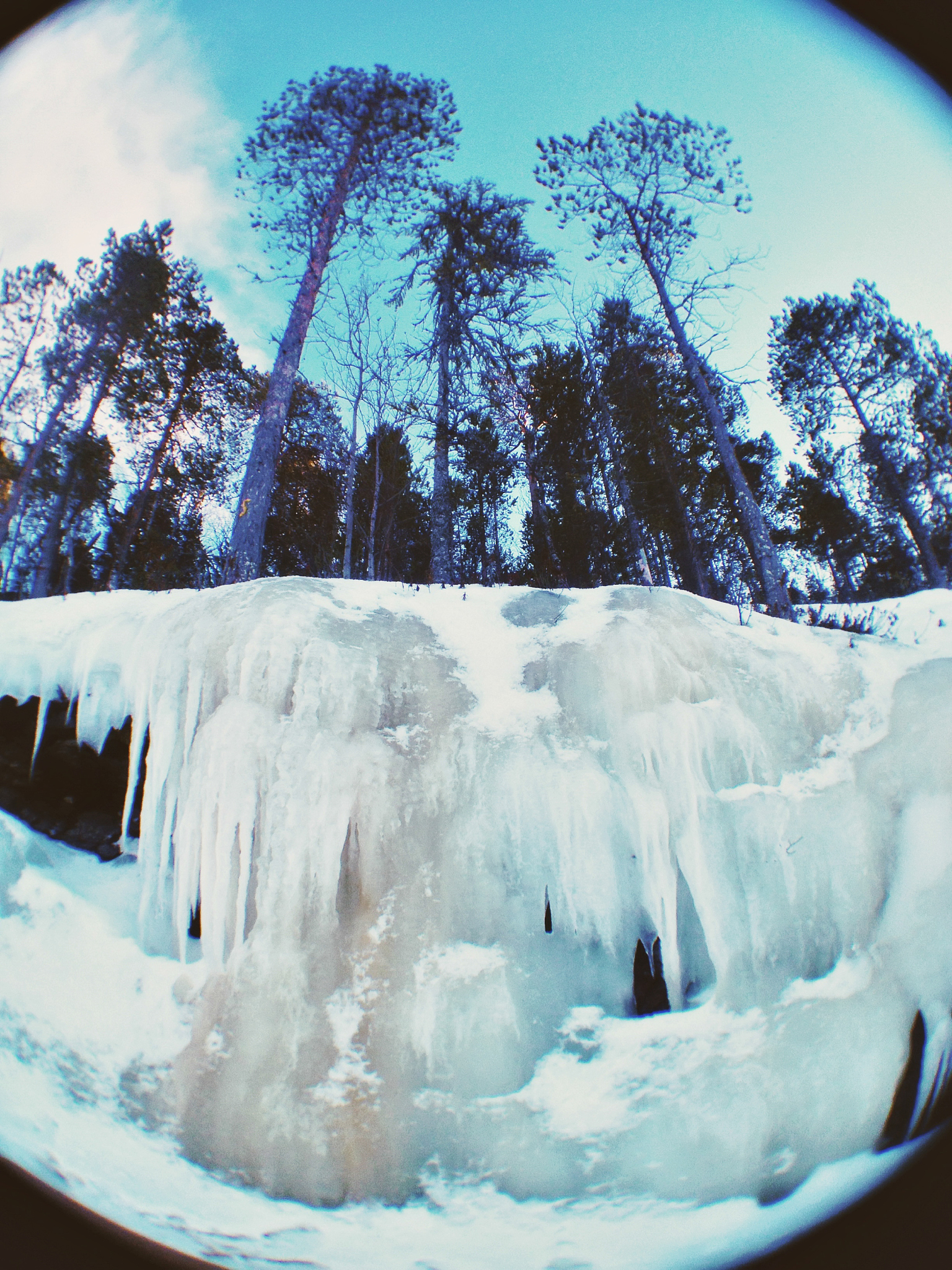 冬季漫步：拥抱自然的疗愈力量