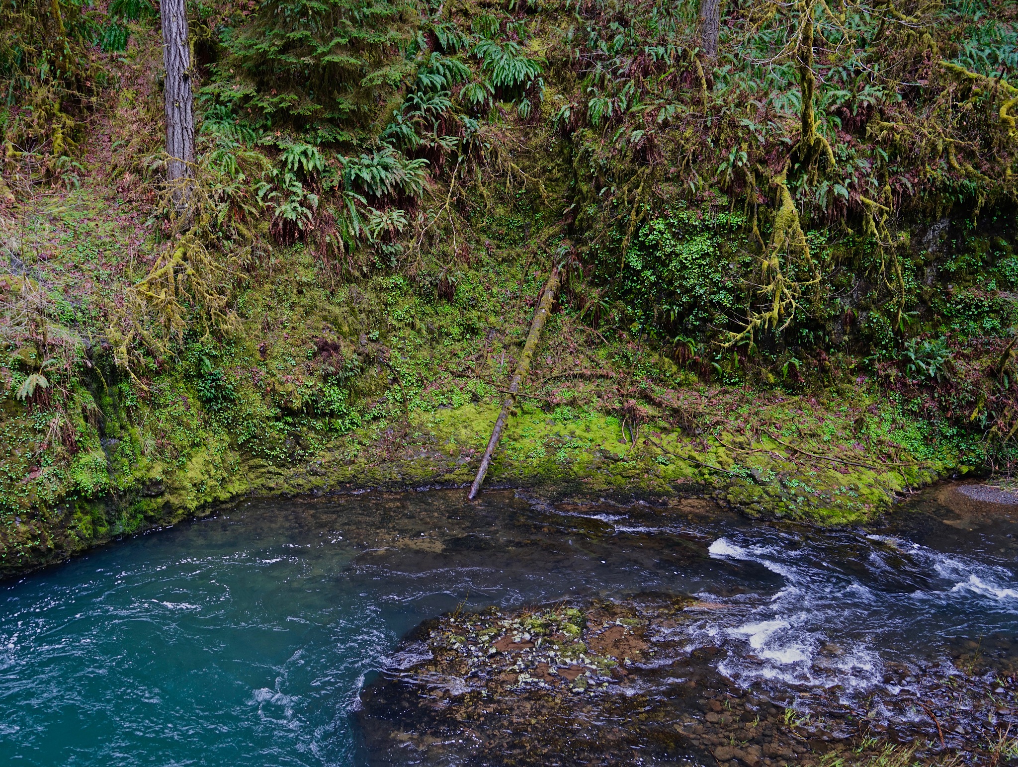 2000毫升水等于多少克