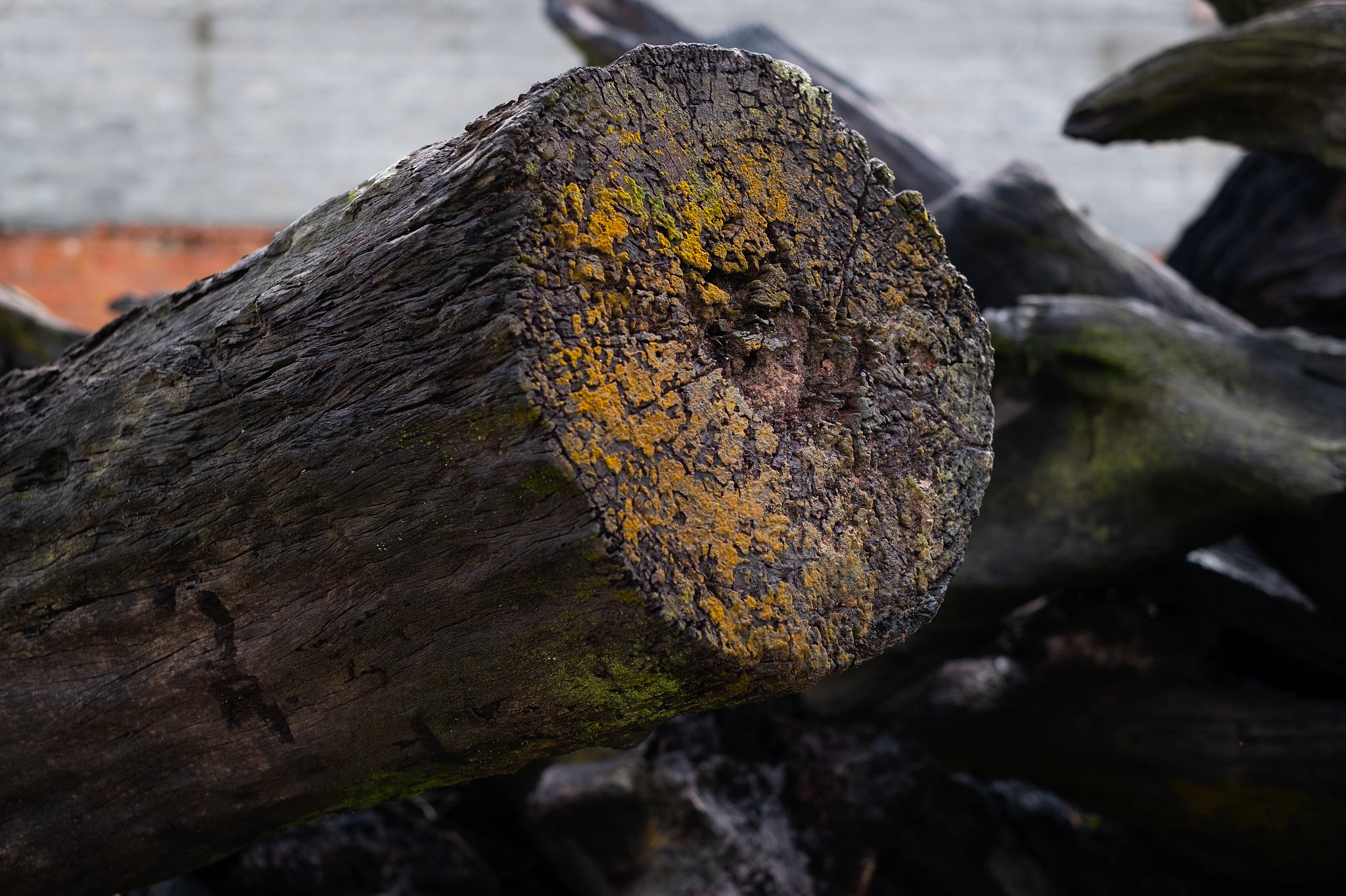 wooden pole