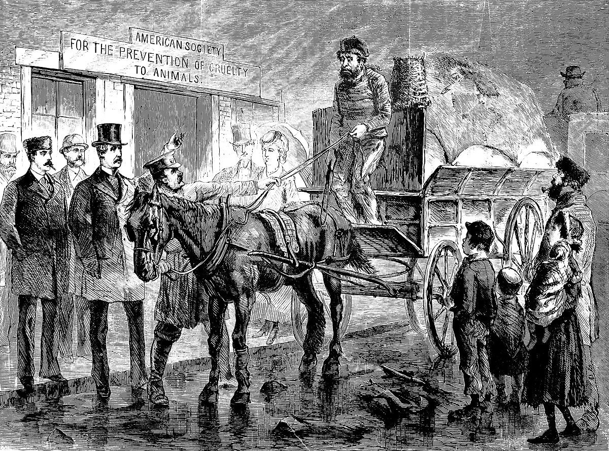 一名律师请介绍下不同国家对抢劫罪的惩罚