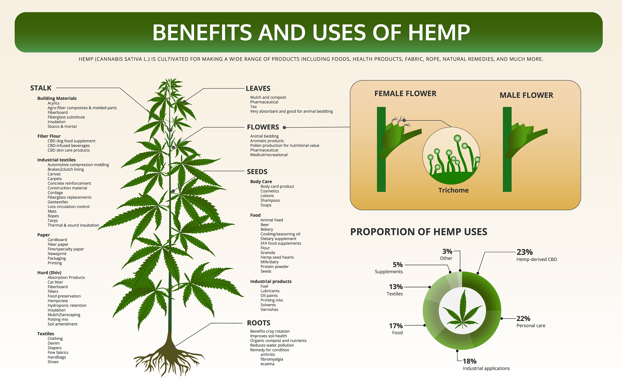 《环境与实验植物学》：植物学研究者的国际平台 - 投稿理由详解