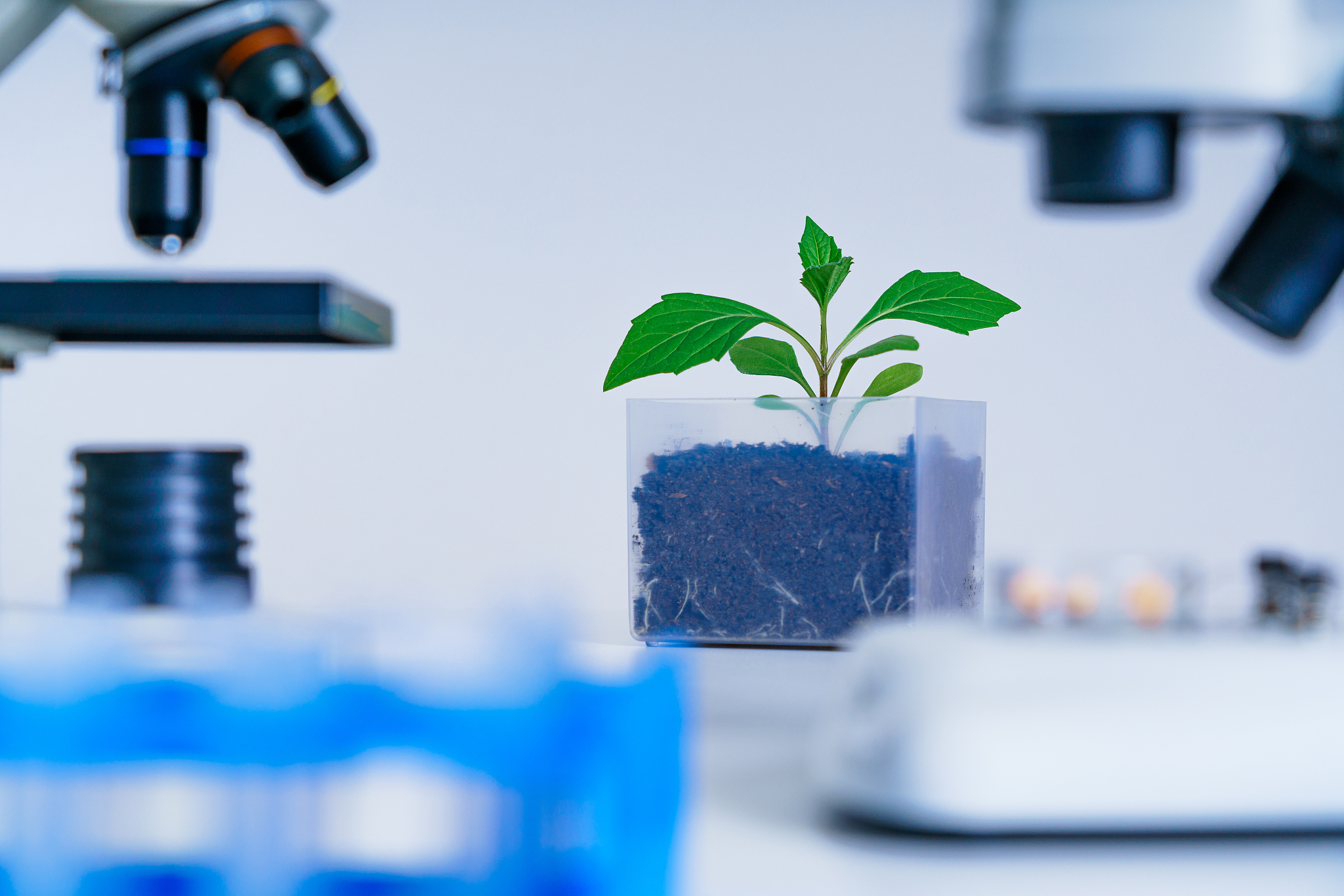 生物技术应用领域有哪些？基因工程、农业、环境等5大应用