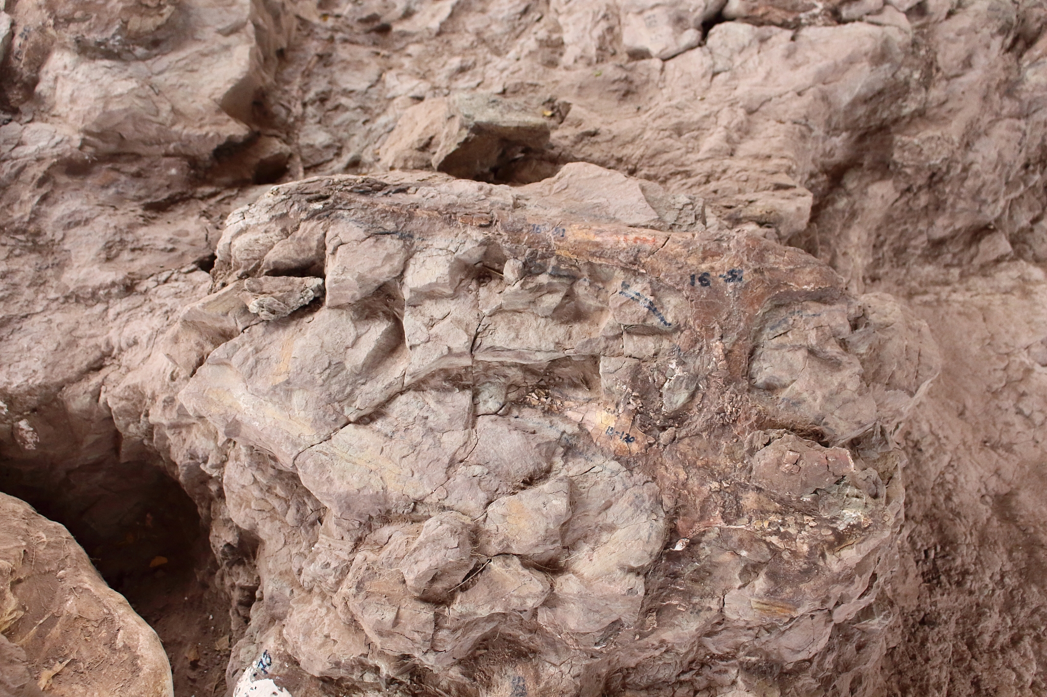 土里面的石头叫什么