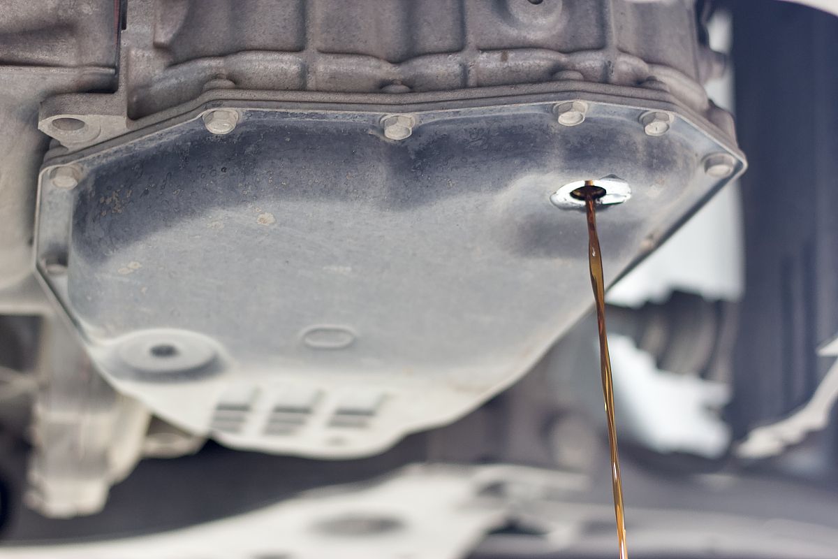 广西民族中等专业学校2022年开设了什么专业