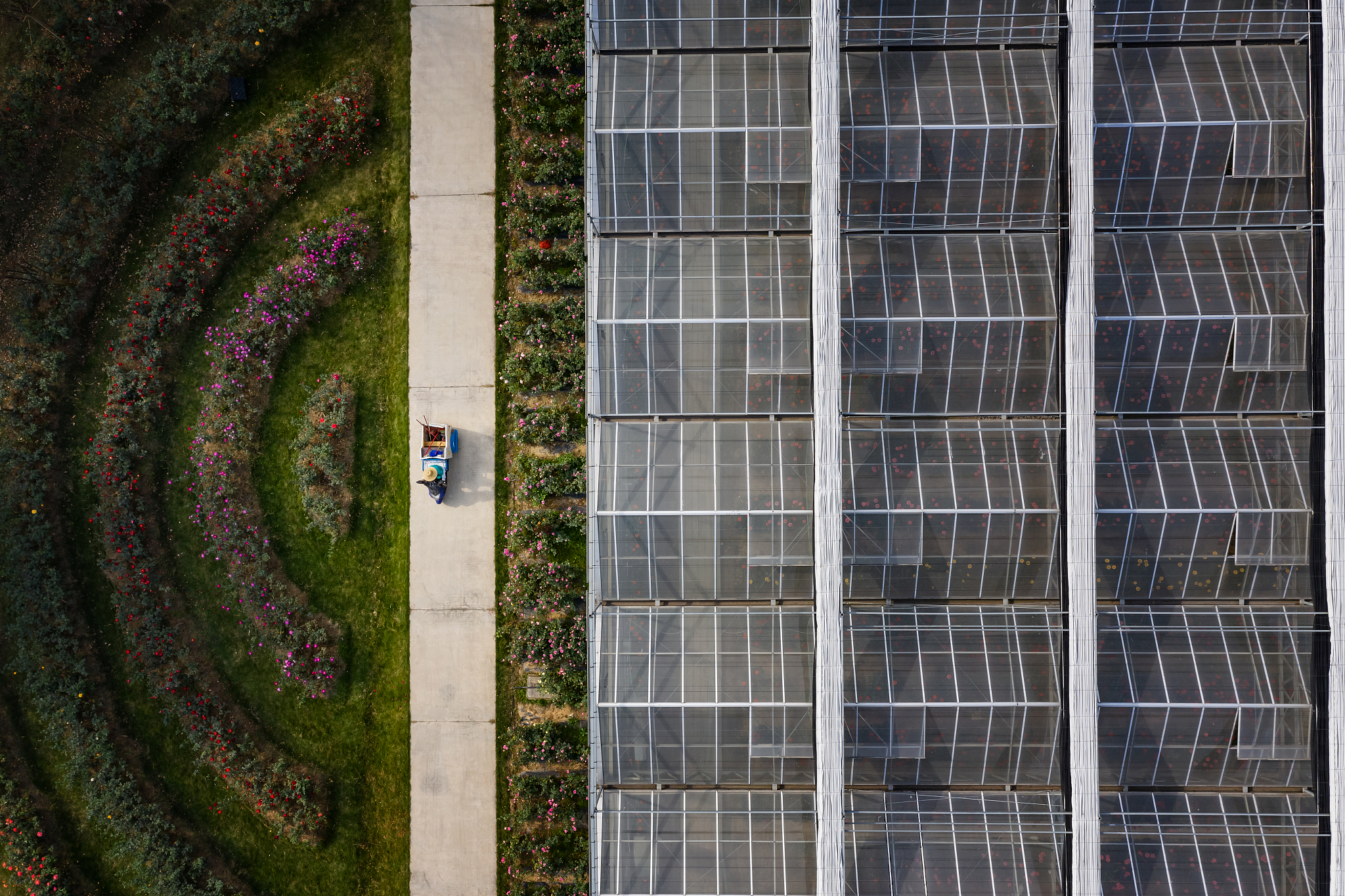晒太阳的正确方法：32年营养师教你如何科学晒太阳