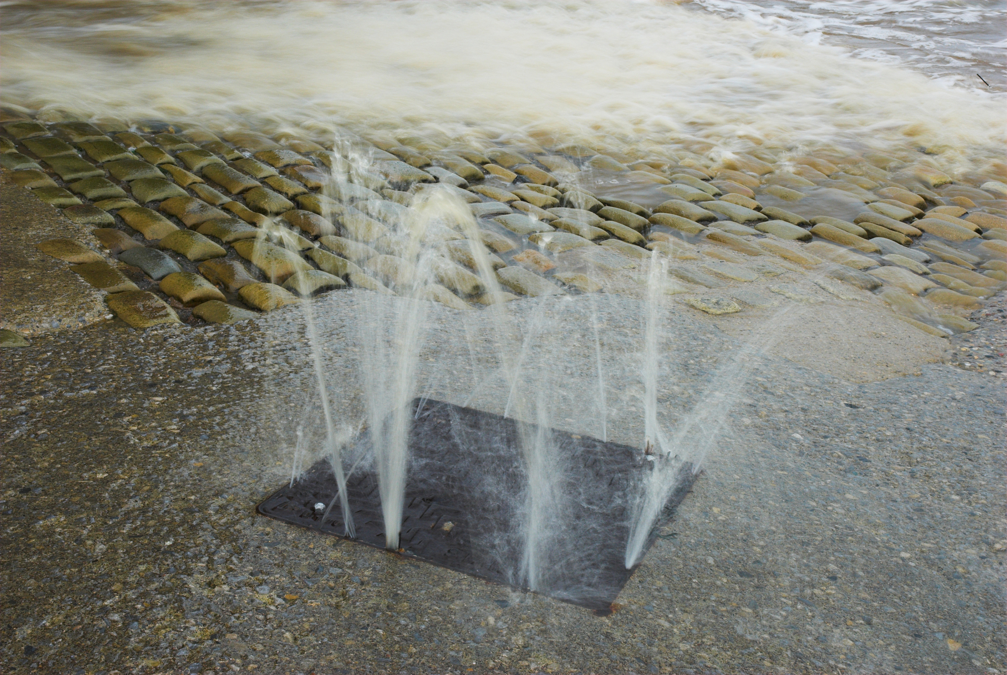 比较分析各种雨水收集系统的雨水处理方法英文