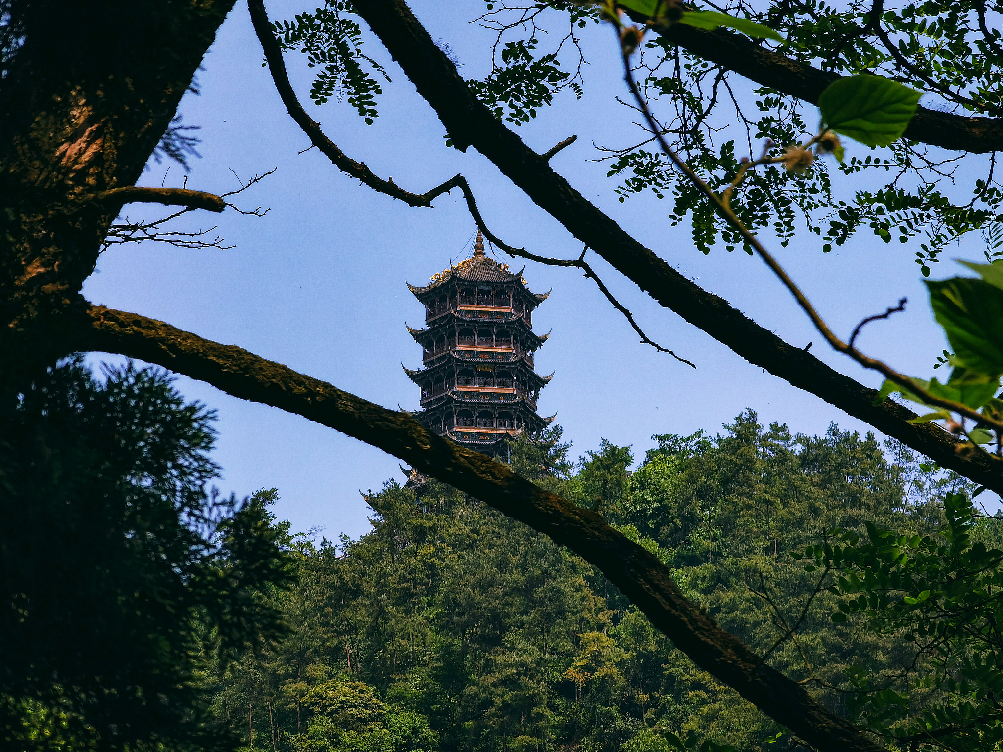 都江堰职业中学专业设置：热门专业及就业前景