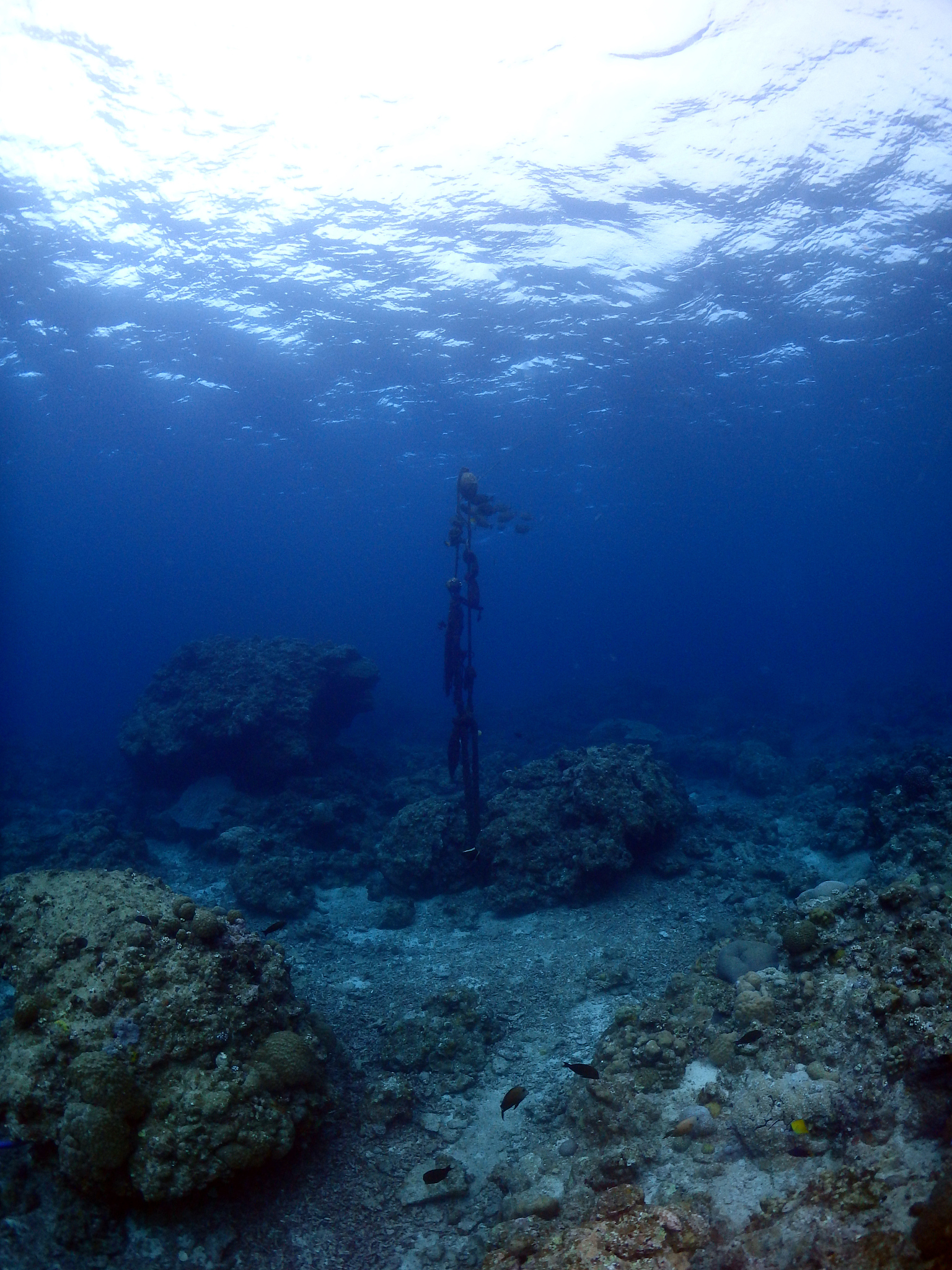 under water rays