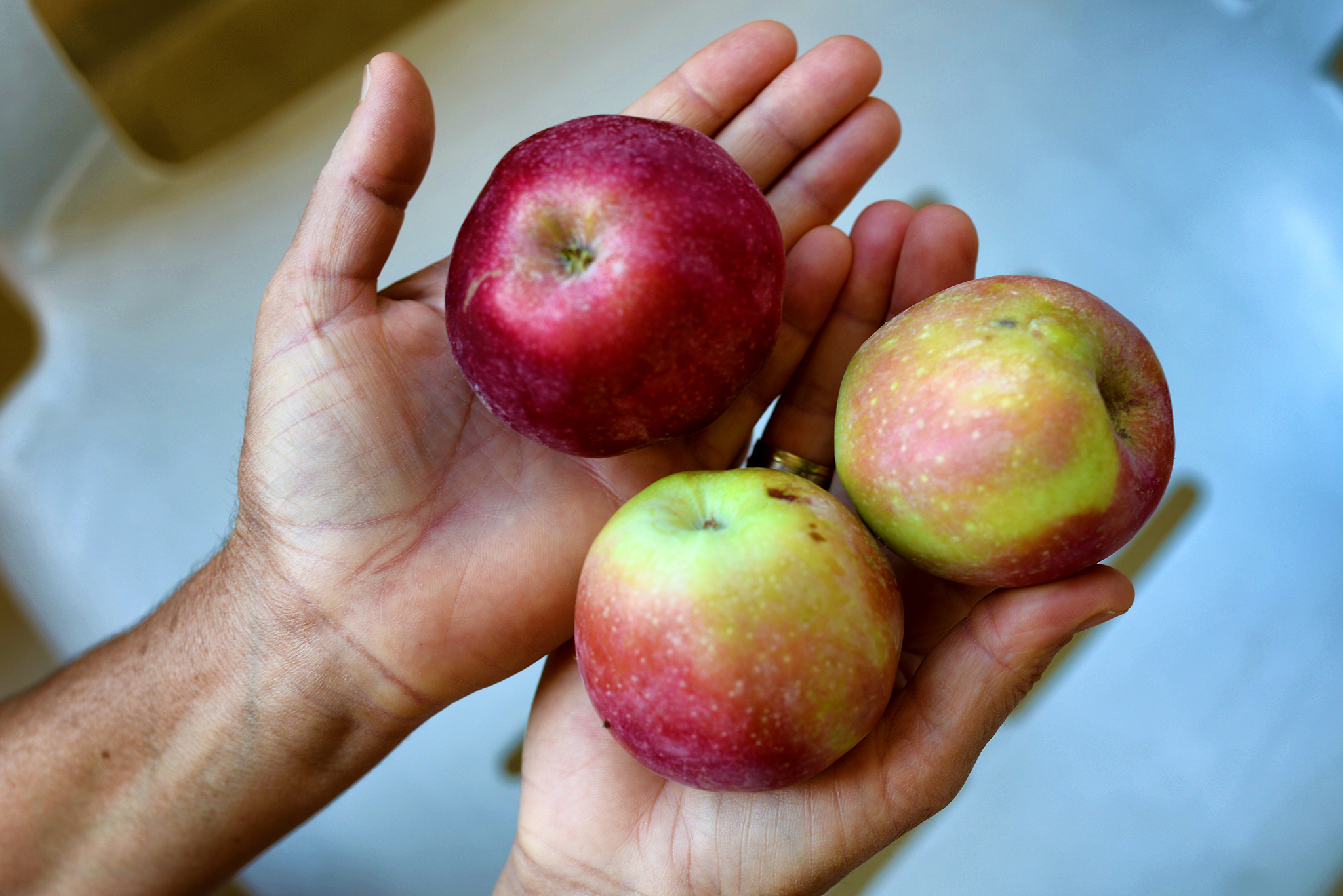 apple