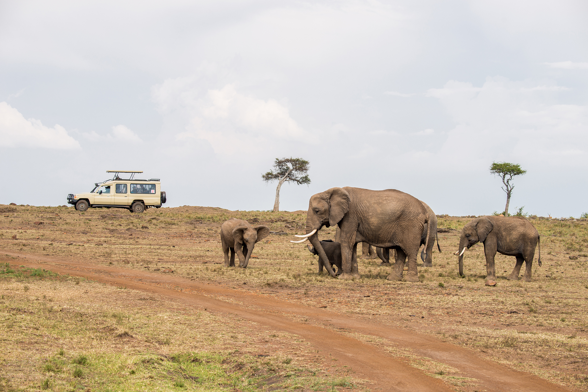 非洲哪些地方好玩