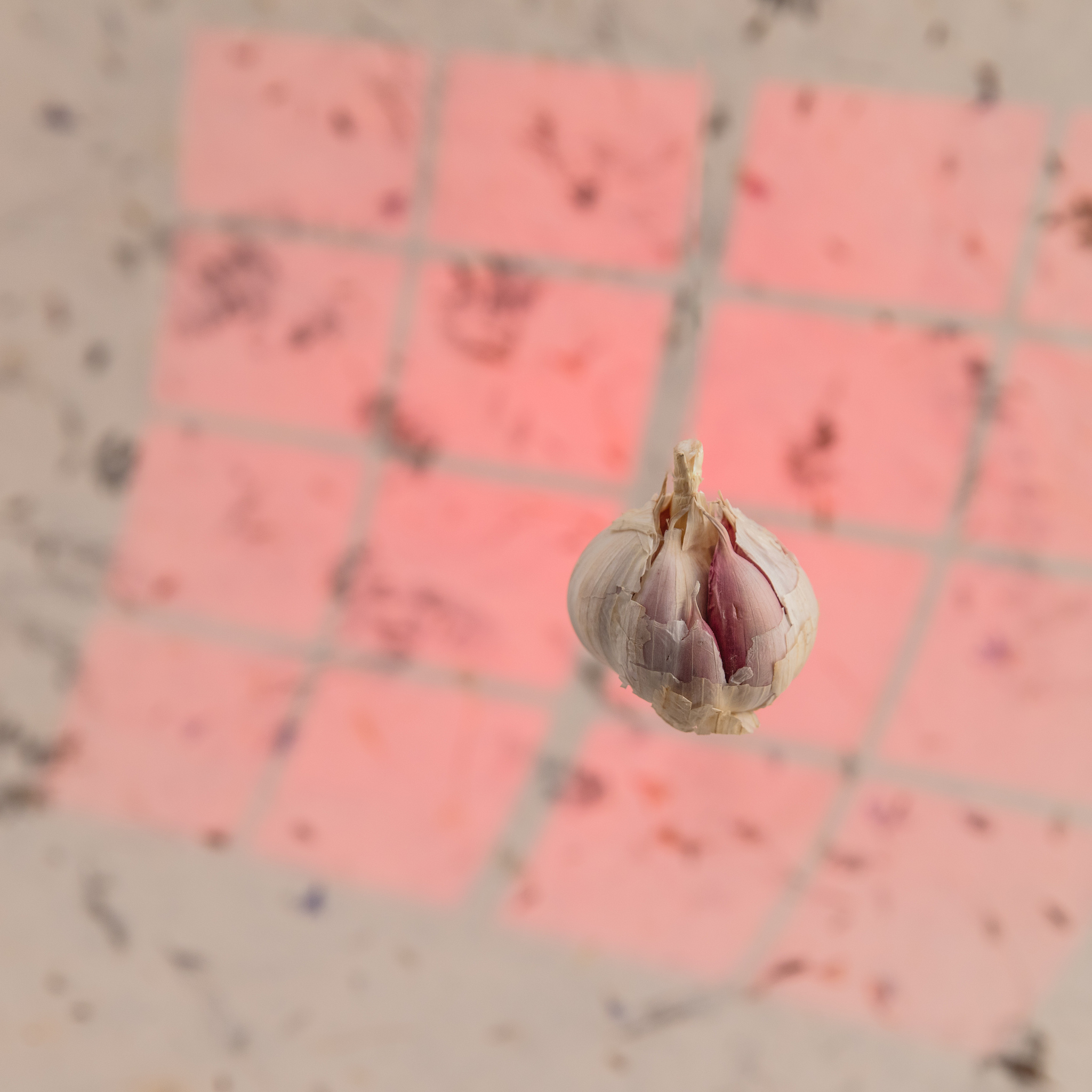 倍力达®蛋白固体饮料的营养成分如何？