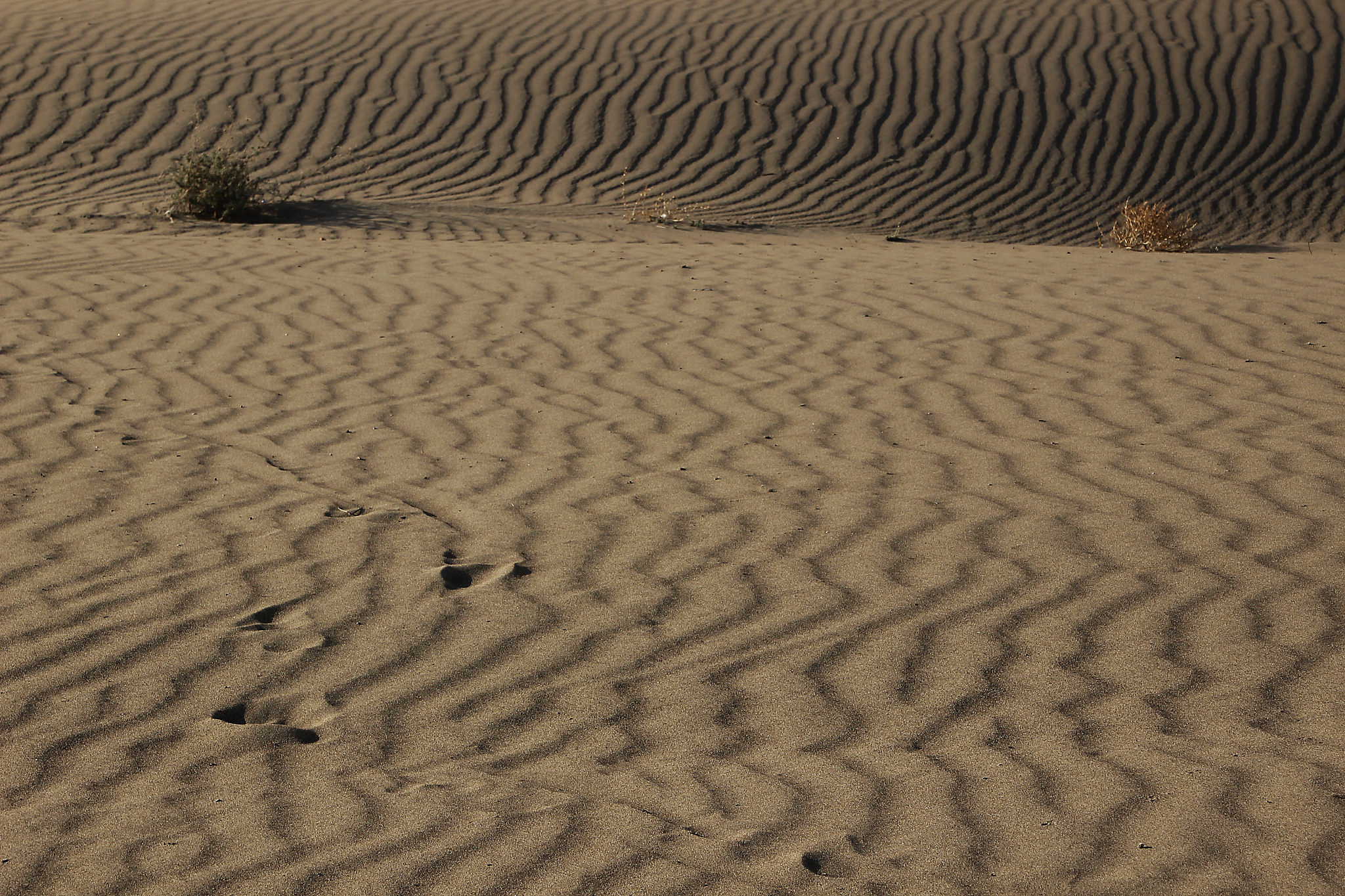 pattern of beach sand