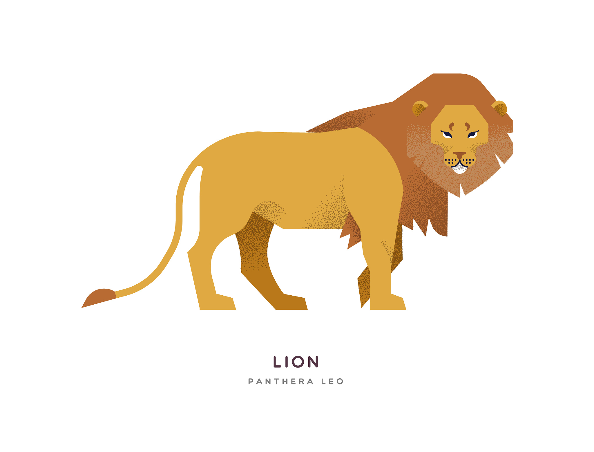 My Favorite Animal (Besides Dogs): The Lion