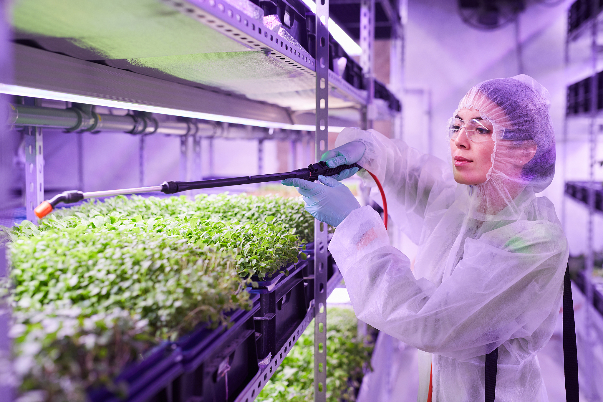 黑龙江农业职业技术学院动物医学专业专业课程设置有哪些