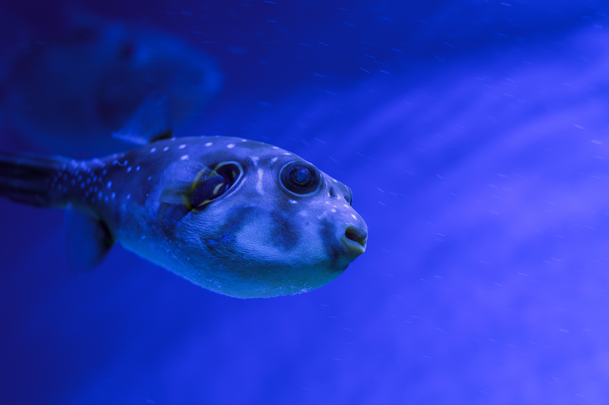 underwater world