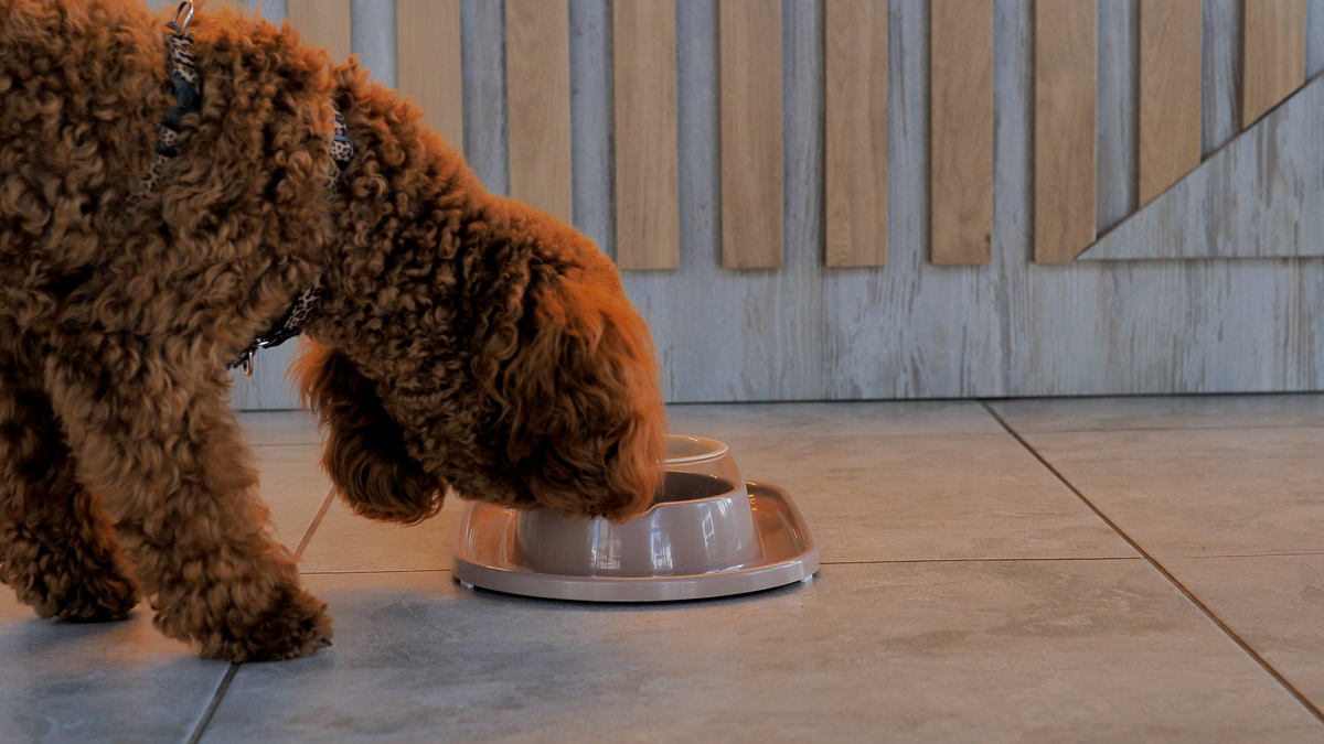 山东城市建设职业学院生态环境修复技术专业都学些什么