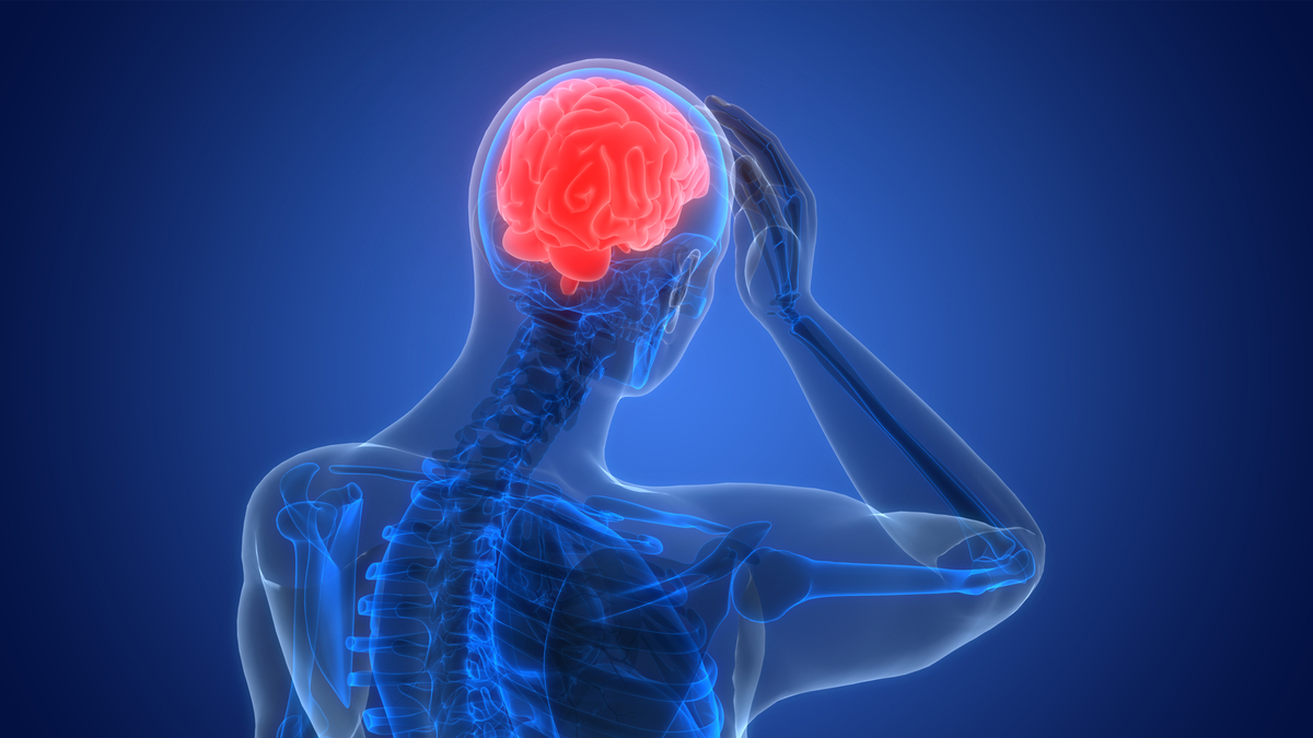 人类自己控制身体靠什么信号？