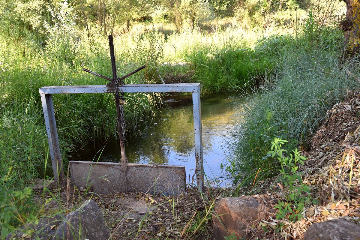 写一篇农村水质提升方案