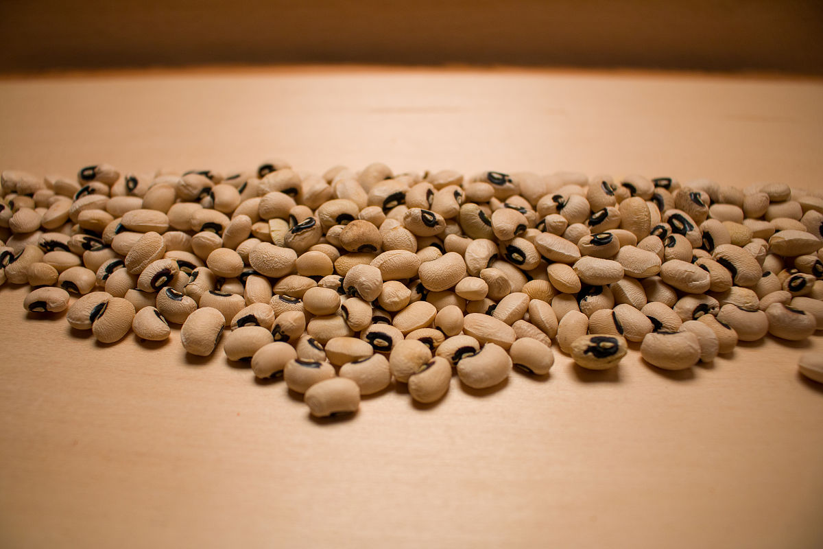 石家庄饮食集团烹饪职业学校2021年招生简章