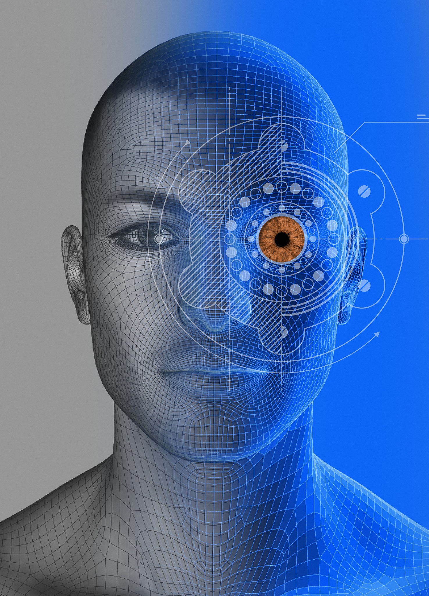 人体识别模型构建指南：步骤、技术及应用