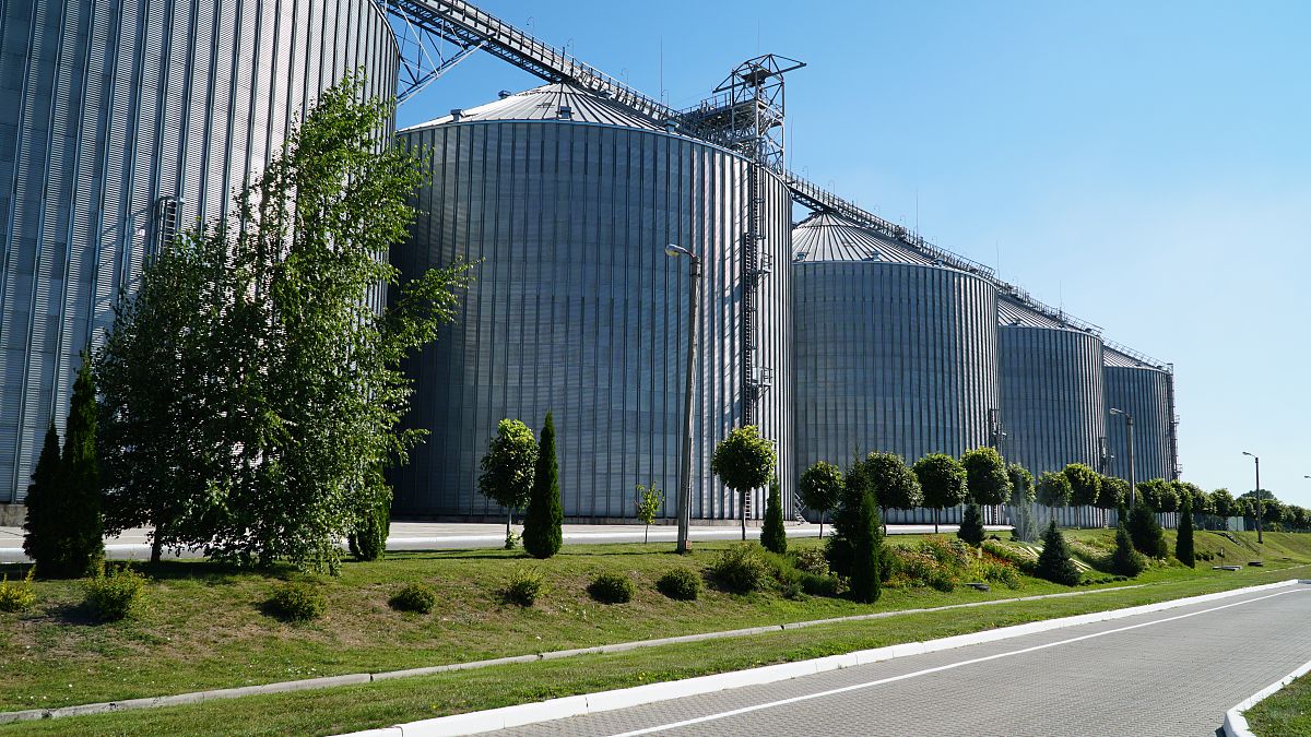 新疆土壤盐碱化导致粮食损失：每年2~2.5亿公斤