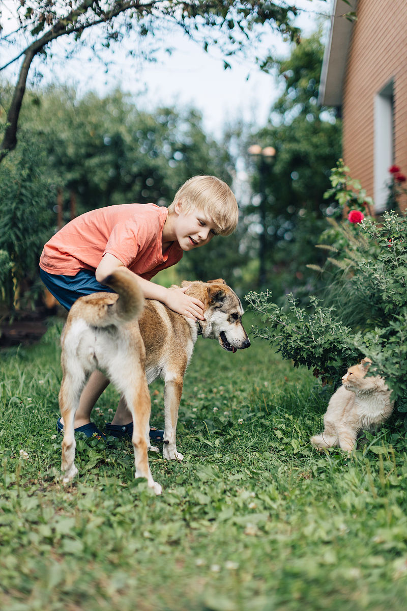 以我的动物朋友为题以明贬实褒的手法写一篇文章字数要求400字