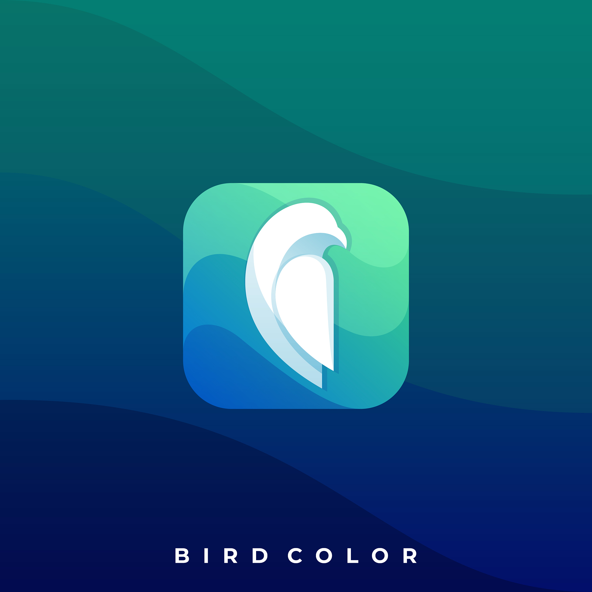 bird icon design template