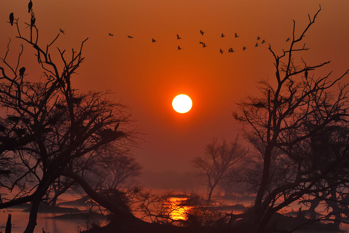 《诗经·彼阳》赏析：太阳升落，美景如画