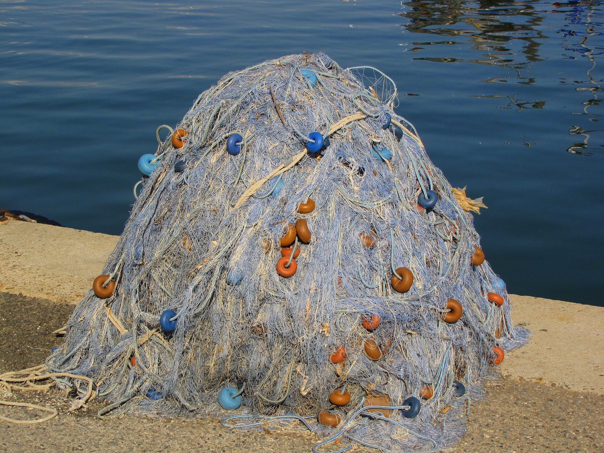 大连海洋学校2022年有什么专业？