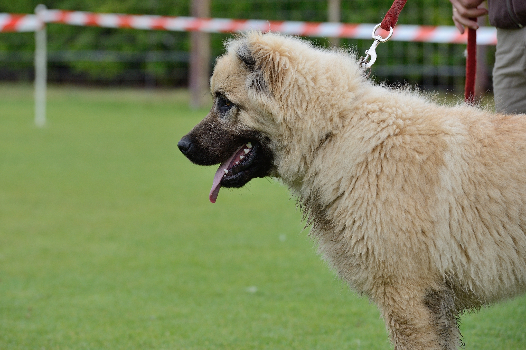 西安医护专修学院招生电话：报考医学专业就选这里！