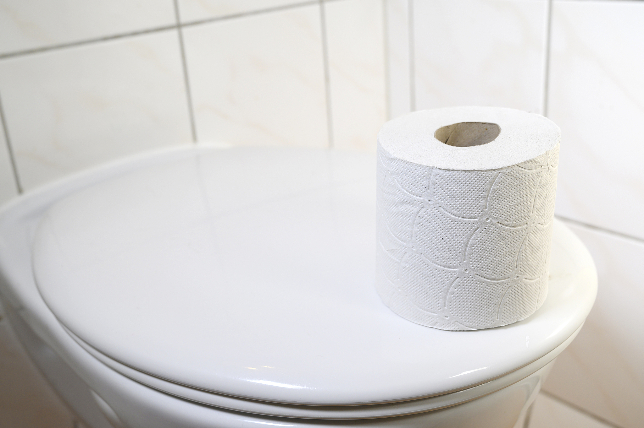 toilet paper on the toilet bowl. germany.