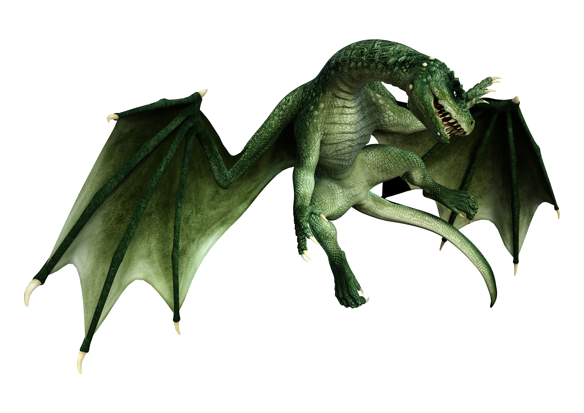 3d illustration fantasy dragon on white