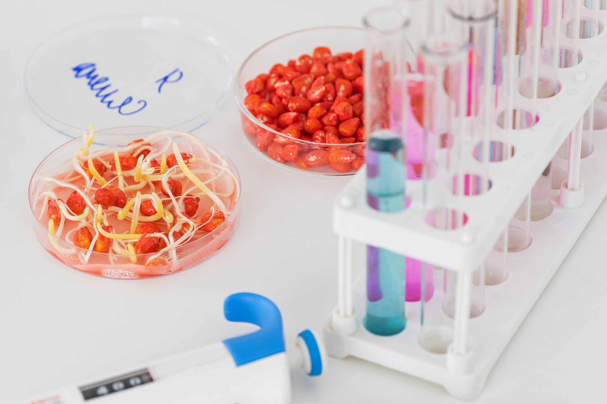 种子生产与经营专业发展前景如何