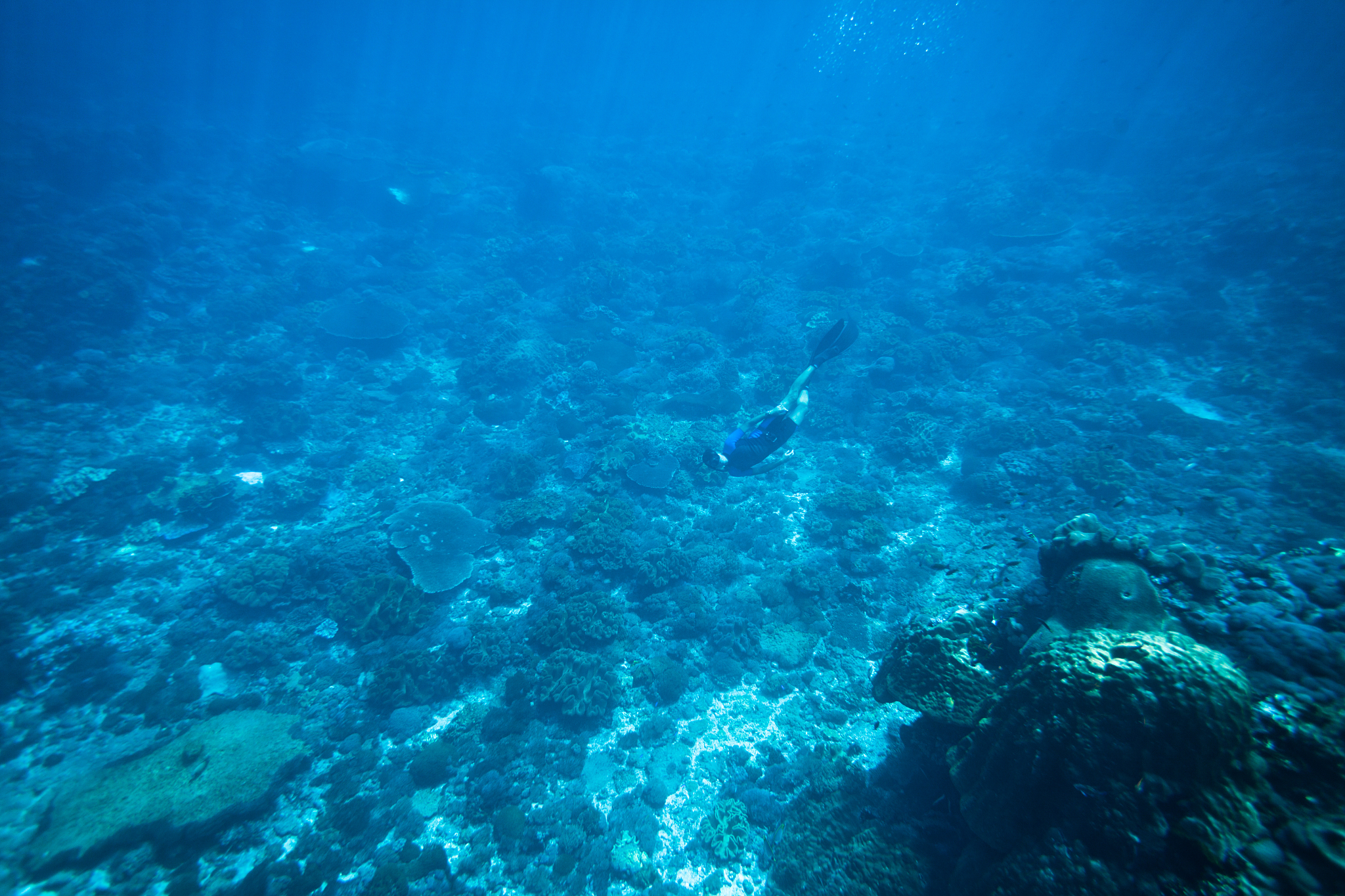 deep freediving