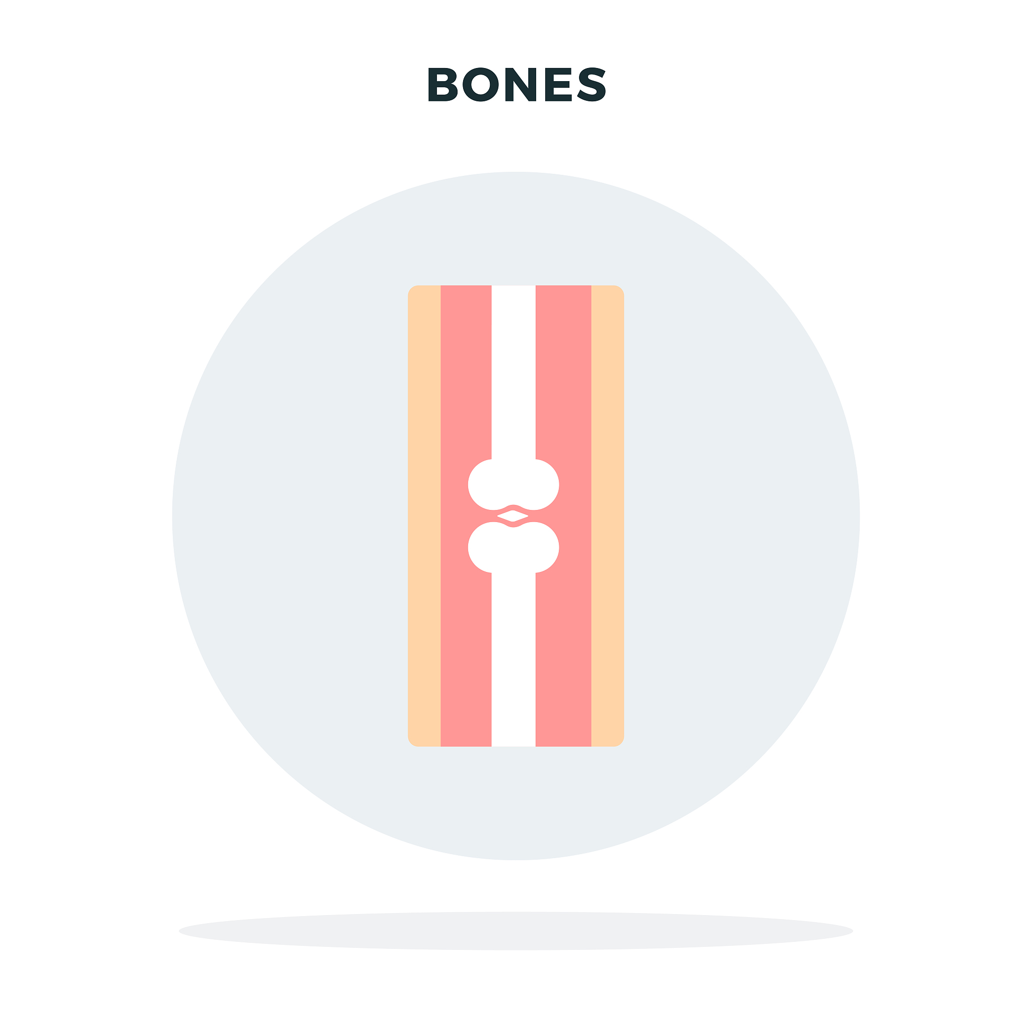 人体分子结构详解：与动物的差异