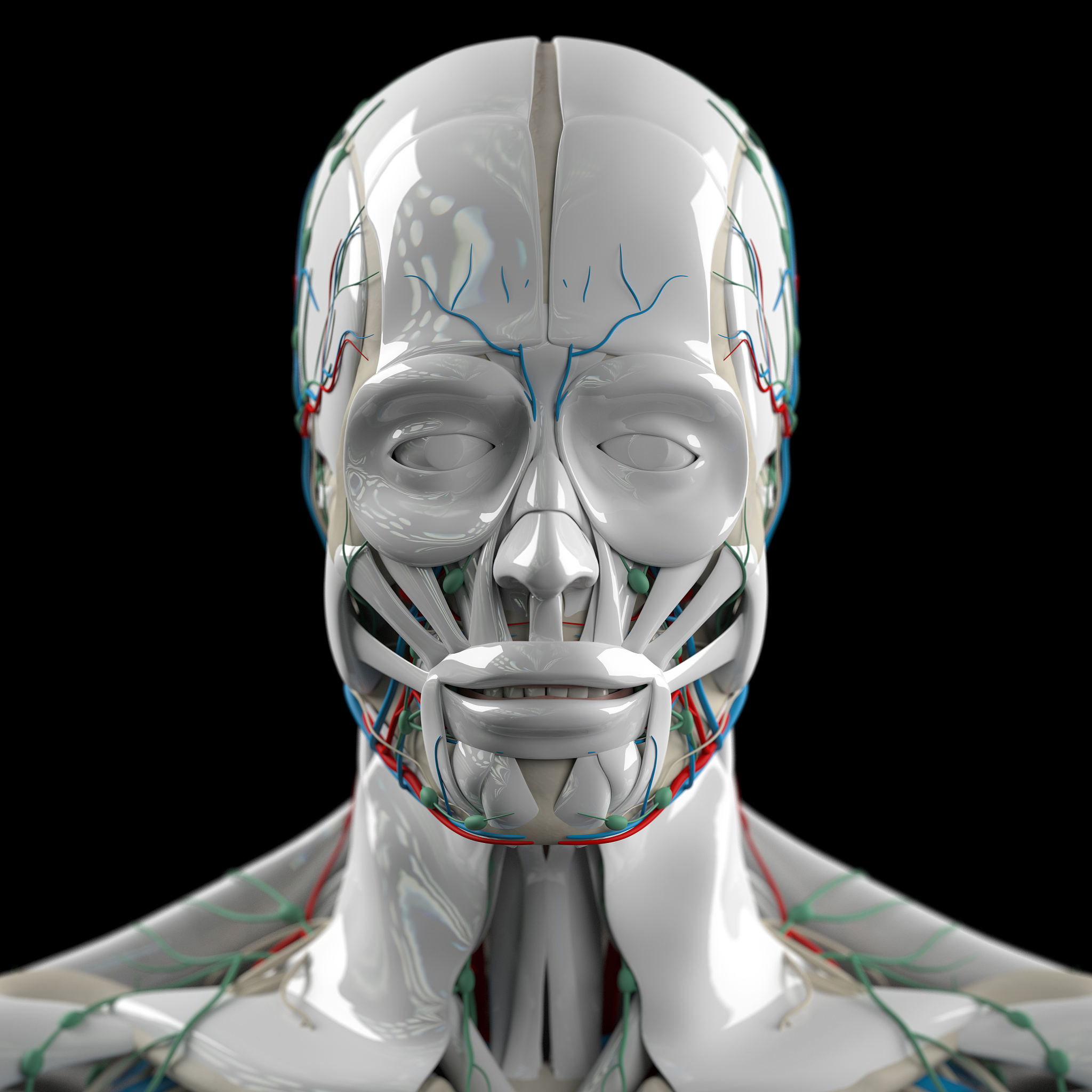 人類同動物的分別是