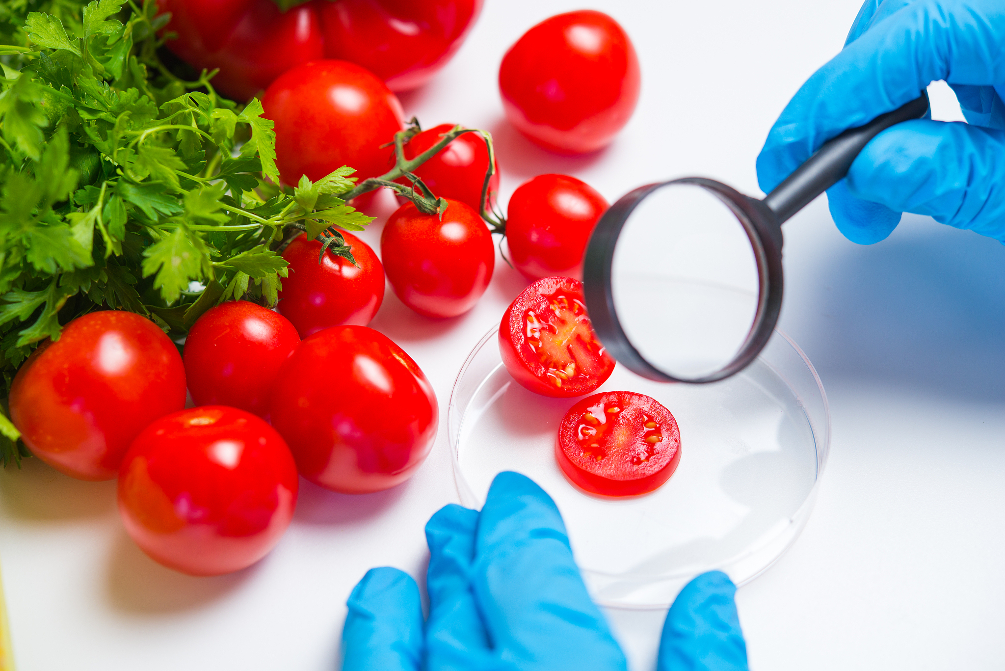 福州工业学校招生专业