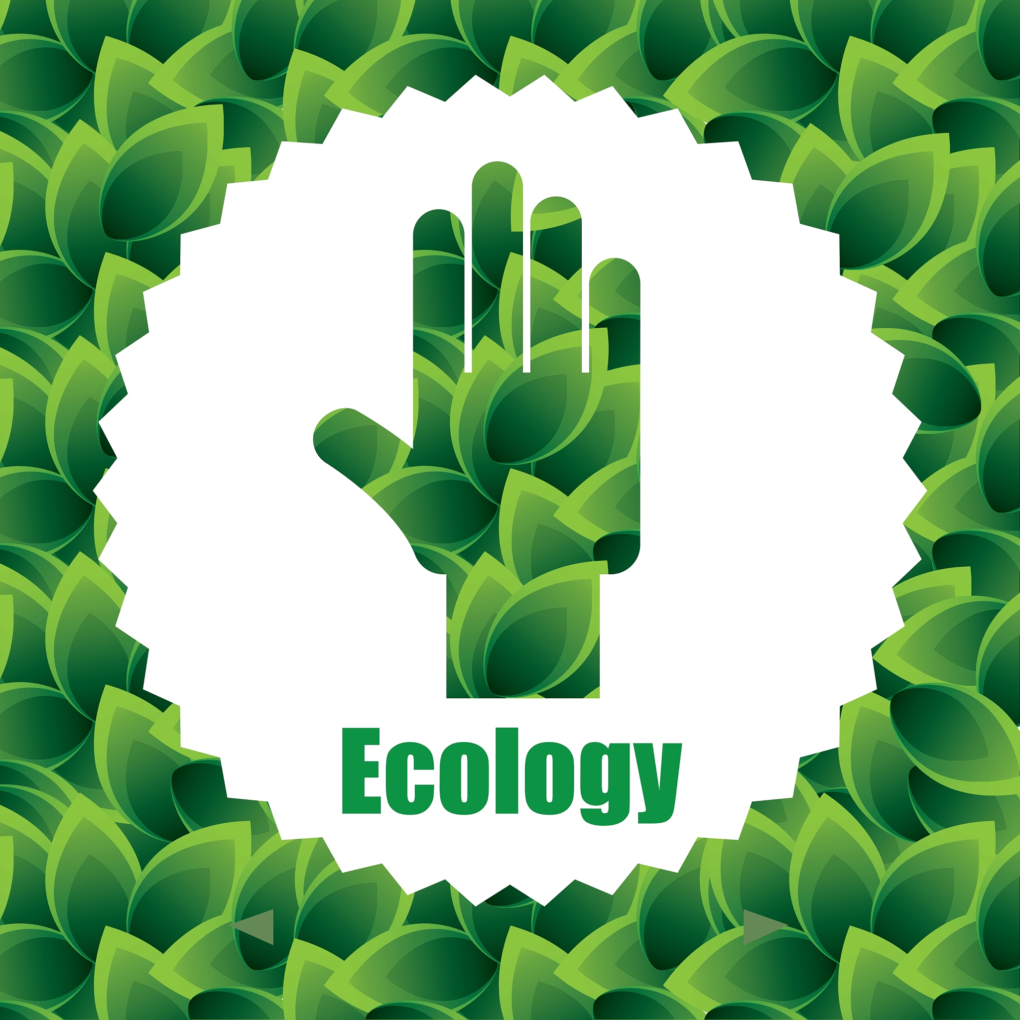 eco design