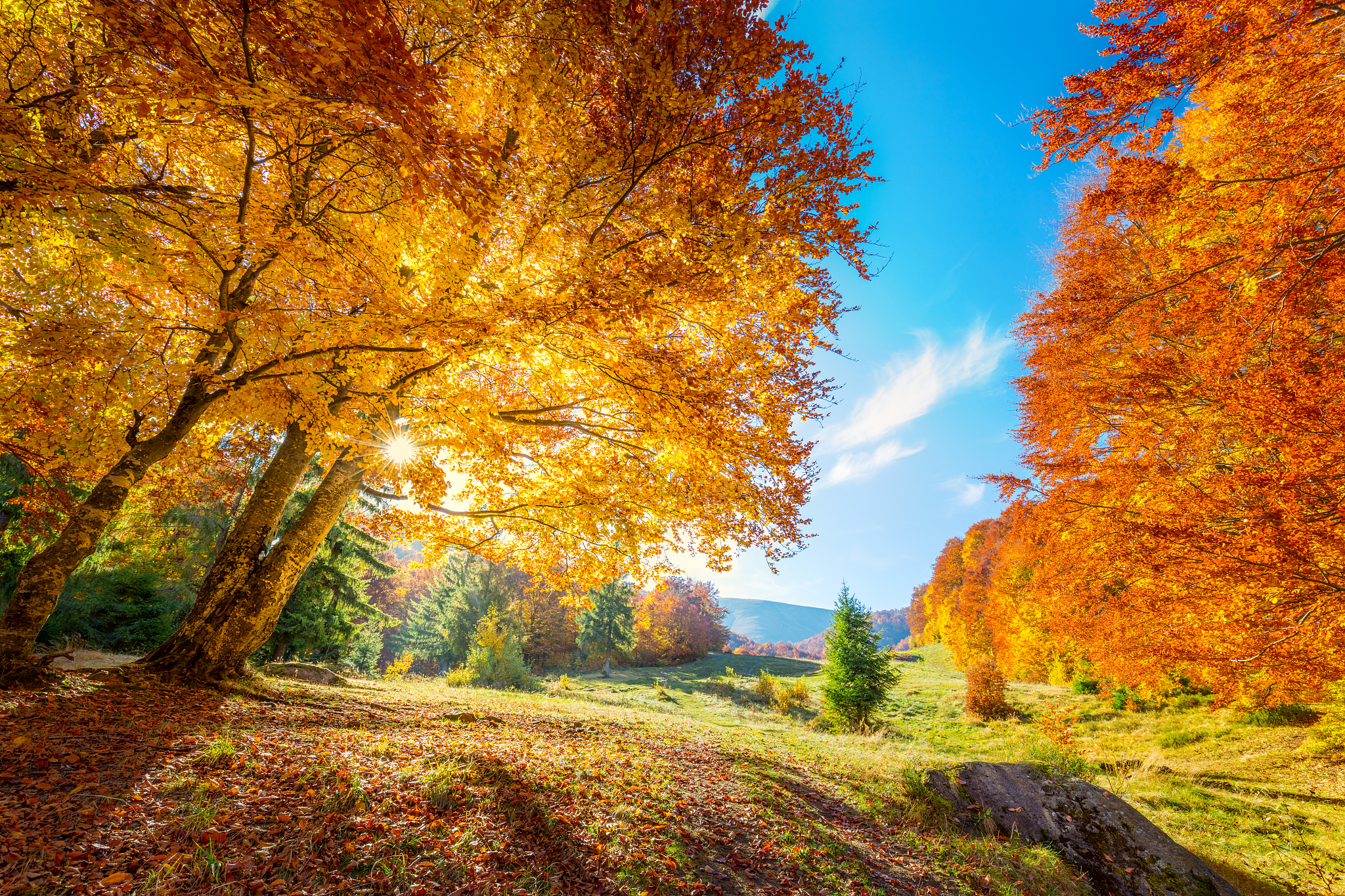 To spring to autumn to write a title for the article