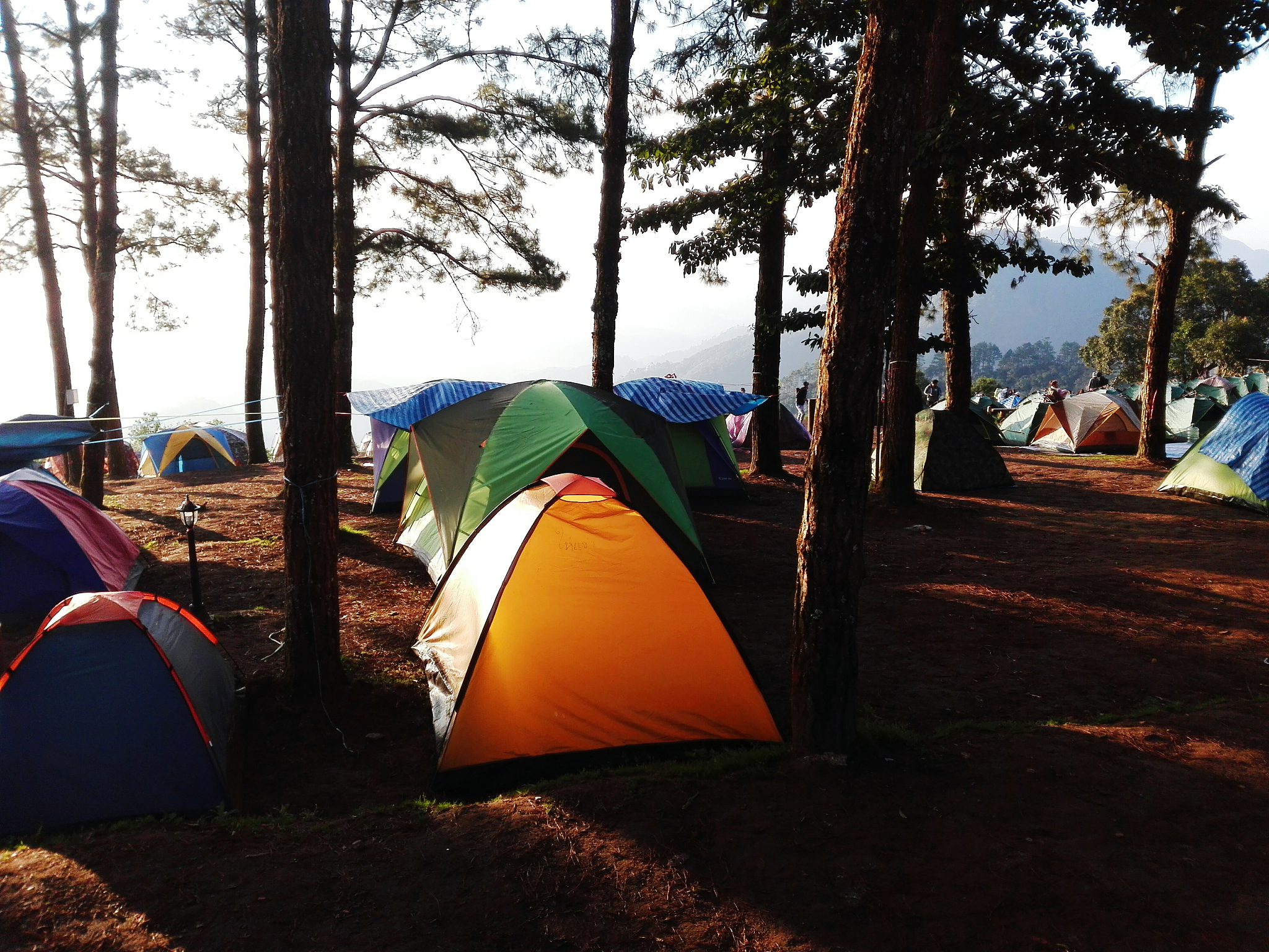 逃离城市喧嚣，山村露营地带你回归自然