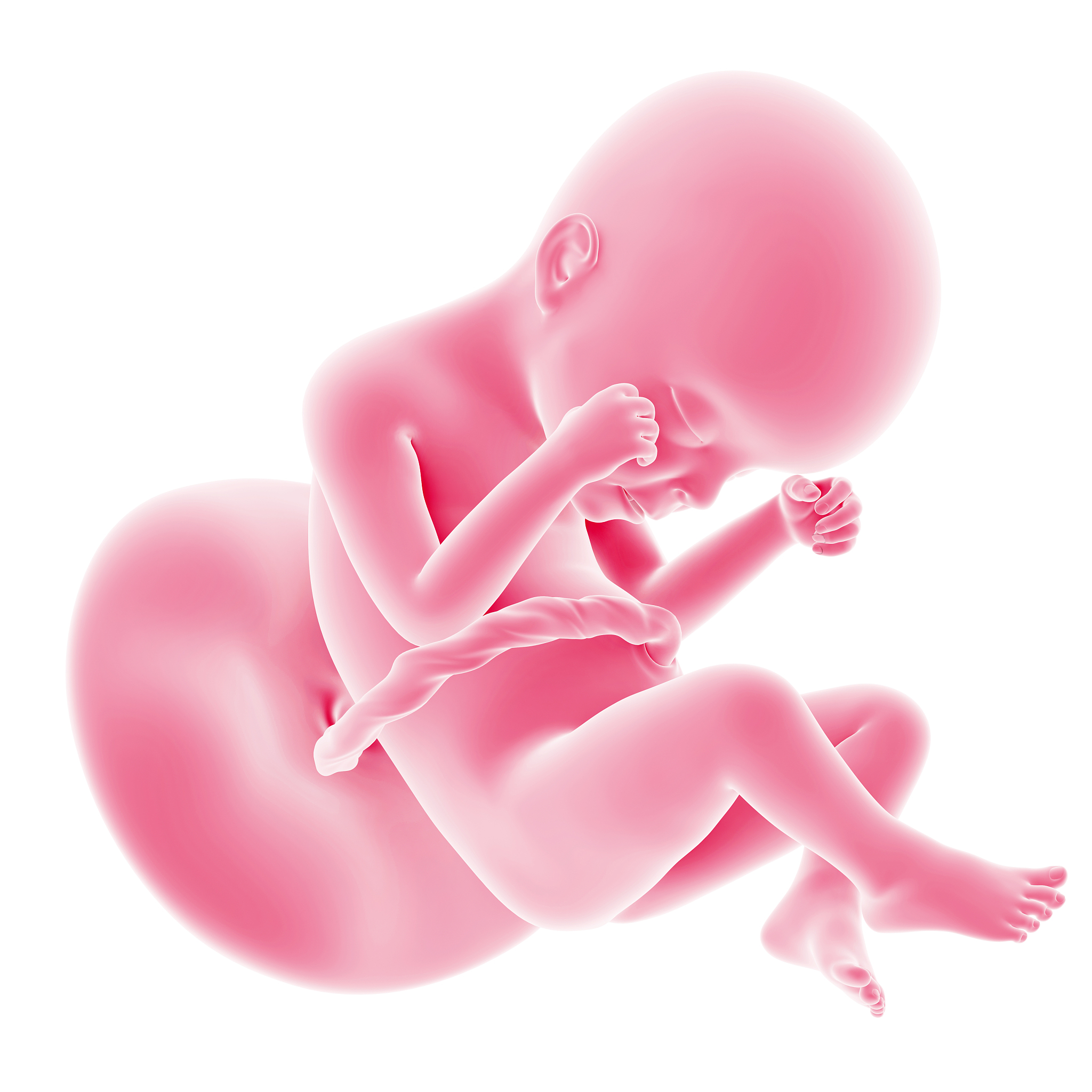 先兆临产合并胎儿脐带绕颈：5大护理要点保障母婴安全