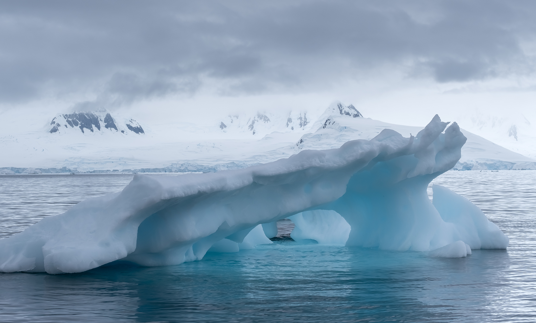 beautiful icebergs in stunning icy landscapes, chiriguano bay, f