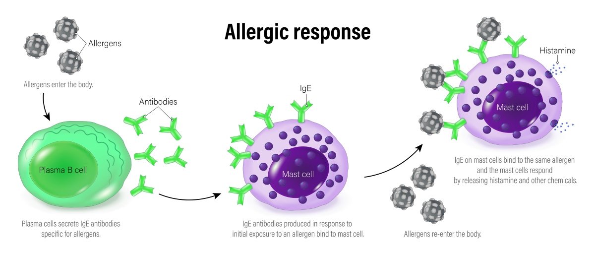 外泌体与肿瘤相关巨噬细胞相互作用的研究进展