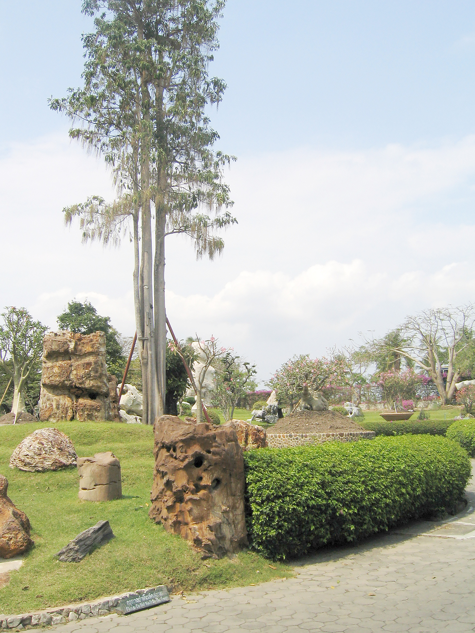 国外学者关于园林景观绿化中'大树进城'问题研究文献综述