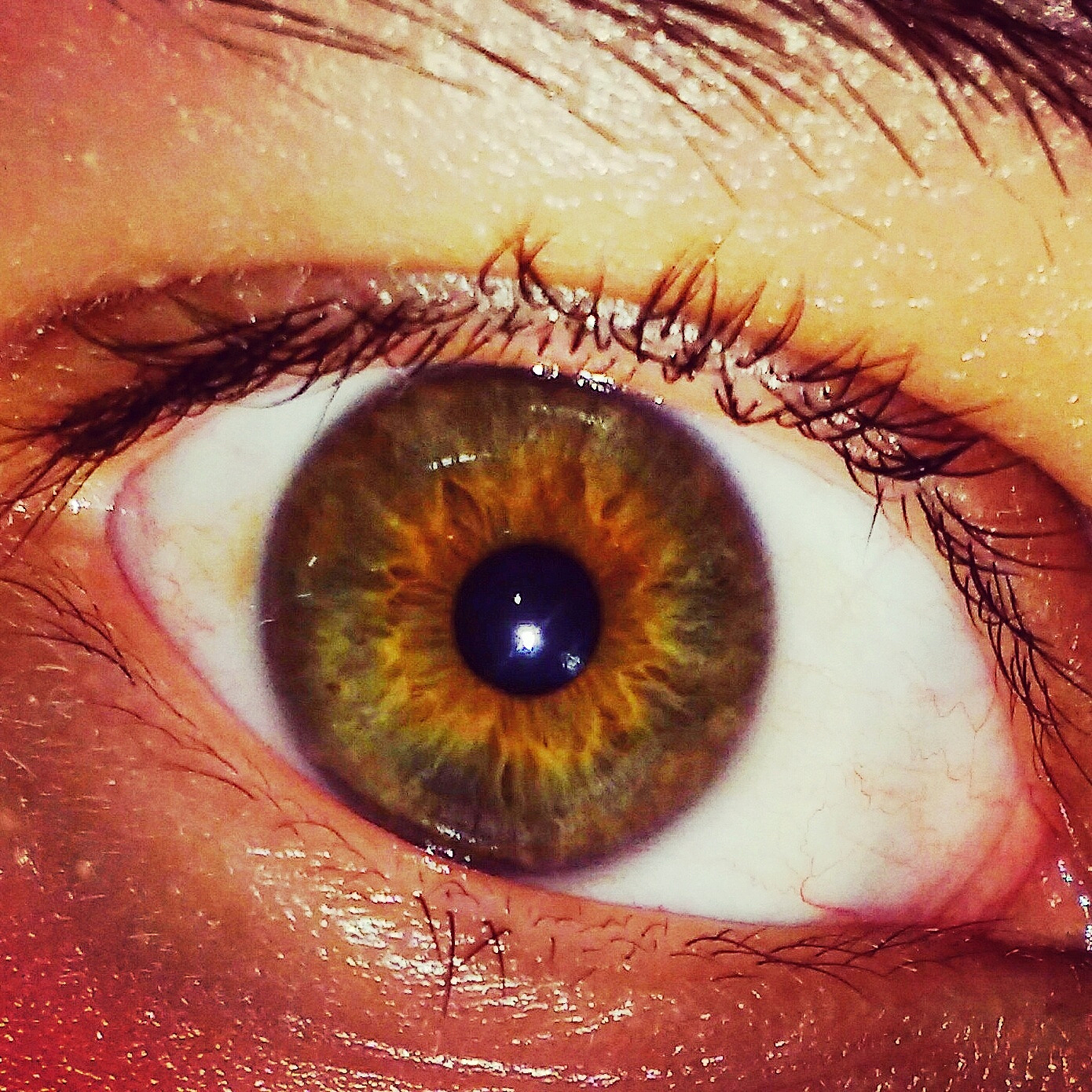 extreme close-up of human eye
