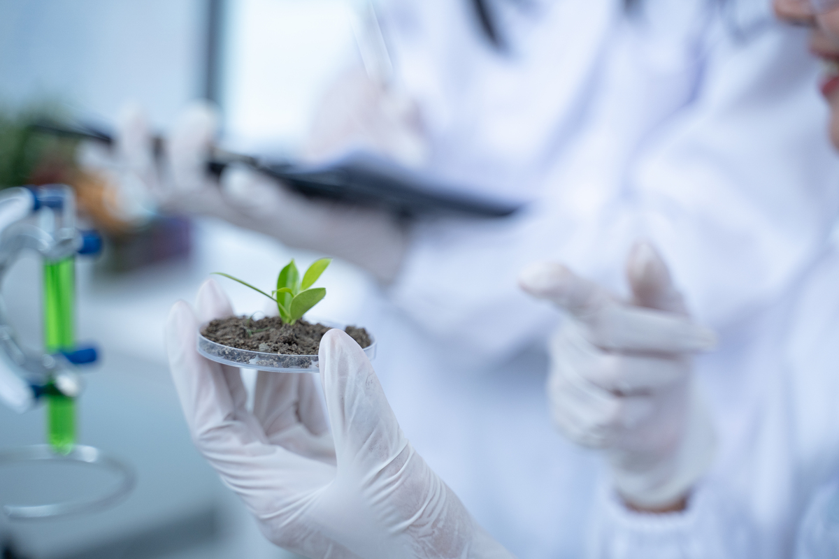生物技术专业好不好？用发散性